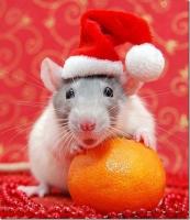 10 января приглашаем в Мышкин 🎄 10 января приглашаем в Мышкин 🎄