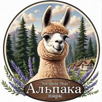 5 июля - Идеальный выходной: альпаки, сладости и золото Костромы 5 июля - Идеальный выходной: альпаки, сладости и золото Костромы